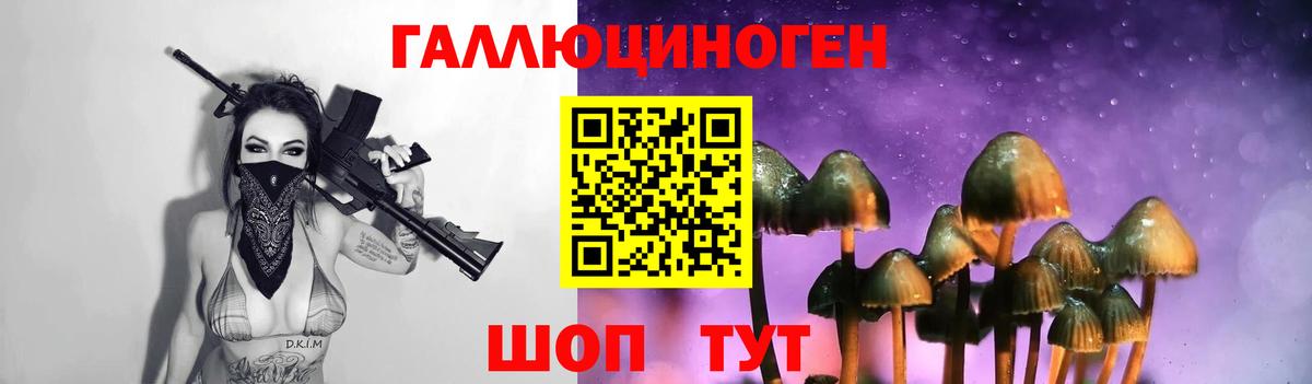 Псилоцибиновые грибы прущие грибы  Псилоцибиновые грибы мицелий  Братск  Вход с VPN 